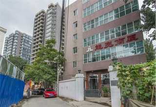 小狗吃的宠物益生菌哪个牌子口碑好